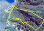 Land domain in the Leeward Islands