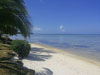 Haapiti: Terrain à vendre sur Moorea en bord de route - Accès belle plage blanche!