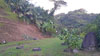A Vendre Terrain sur Papenoo