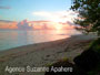 Bord de mer avec plage blanche sur Moorea, bain en eau turquoise